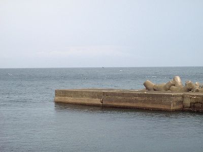 P8230224