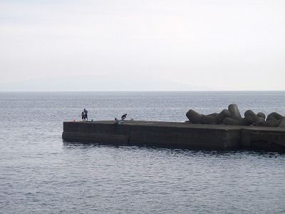 P8210184