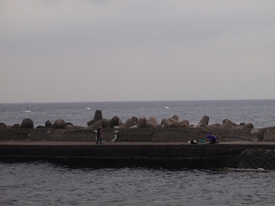 P2260229