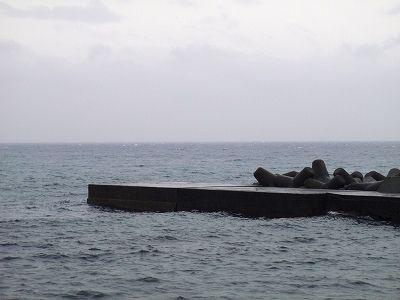 PC290113