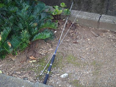 P8020231