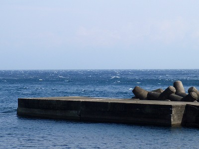 P3130060