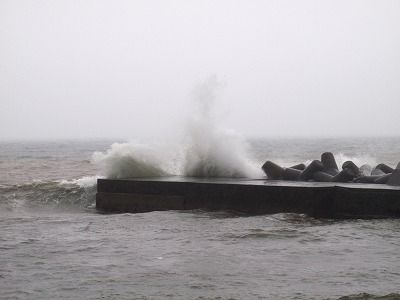P5020251