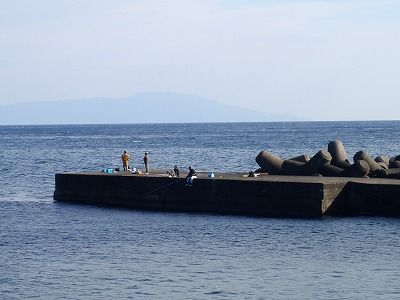 PC200146