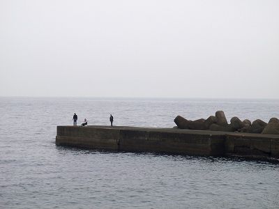 PA310111