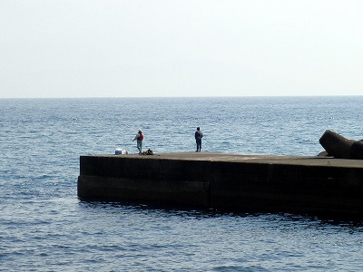 P3120060