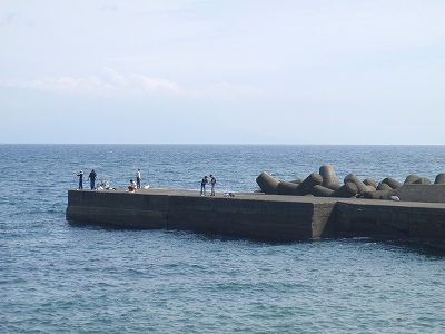 PA100207