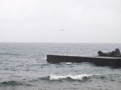P3200184