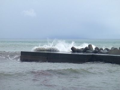 P8300150