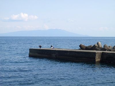P3090102
