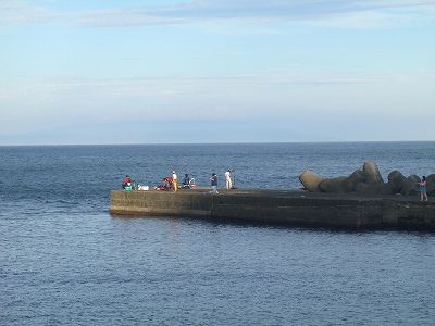 P8310225