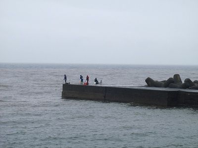 P6290224