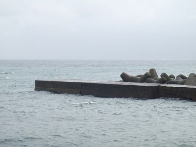 P9160184