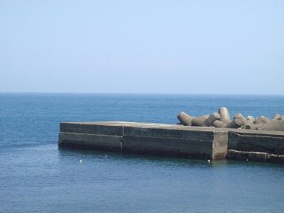 P8020119