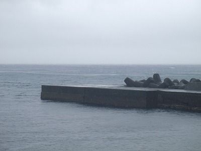 P5110149