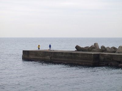 P2010054
