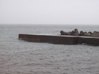 P9220156