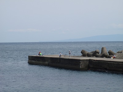 P5030299