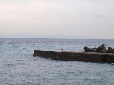 P1150096