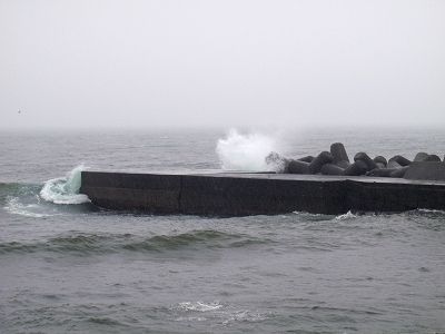 P6060110
