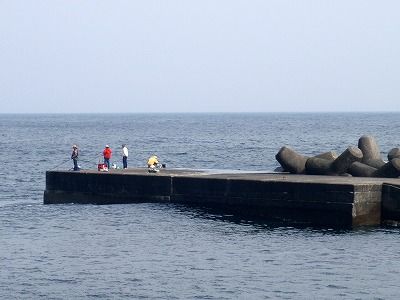 P4160296