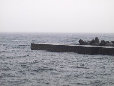 PC220207