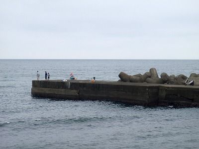 P7310238