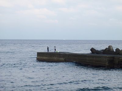 P7090225