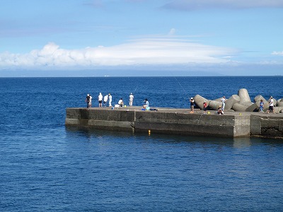 P8110021