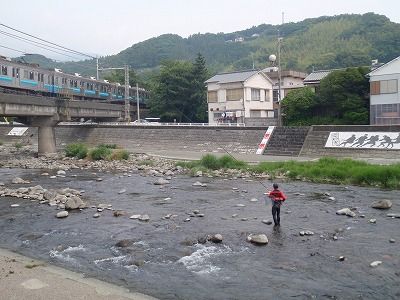 P6090088