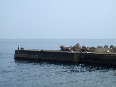 P8130238