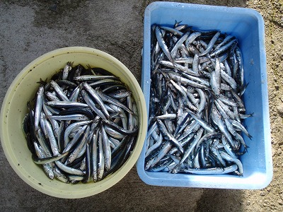 P5020300