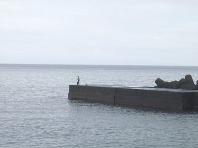 P9010119
