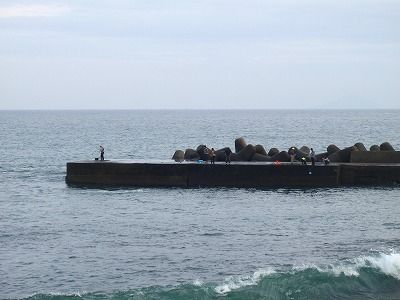 PB050251