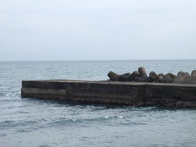 P4200251
