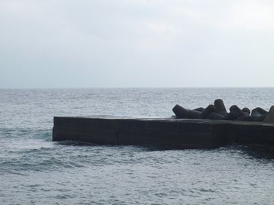 PA090110