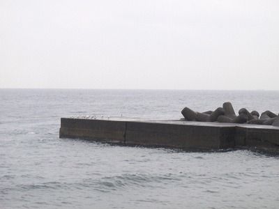 P1200161