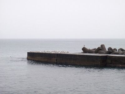 P3060172