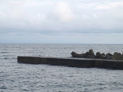 PB040207