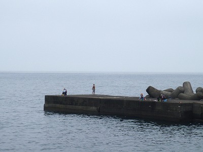 P7050002
