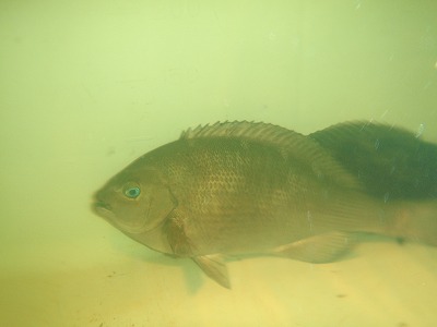 P2250236