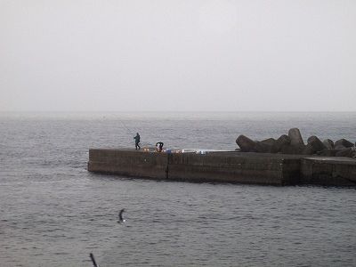 PA110083