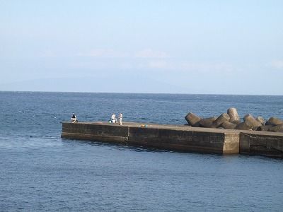 P3150184