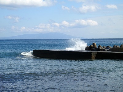 P3100060