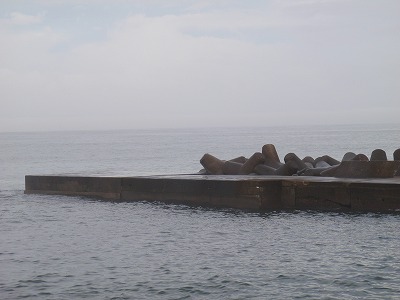 P8100002