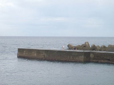 P8180119