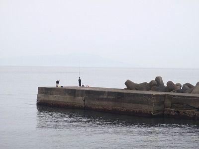 P5090114