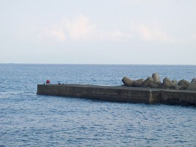 PA310261