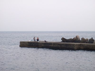 P4160108
