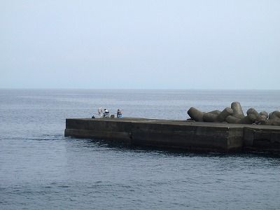 P9050259